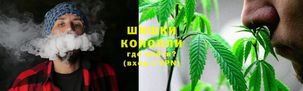 прущая мука Вяземский