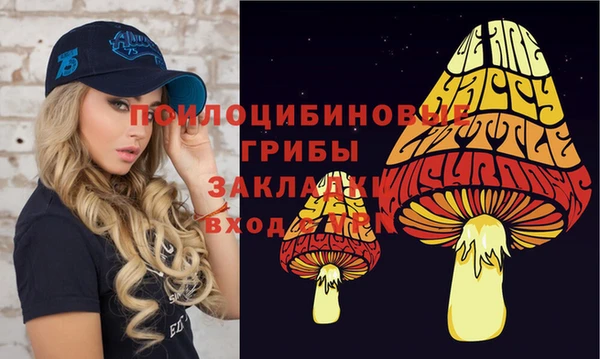 apvp Гусь-Хрустальный