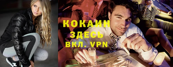 прущая мука Вяземский
