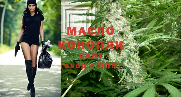 прущая мука Вяземский
