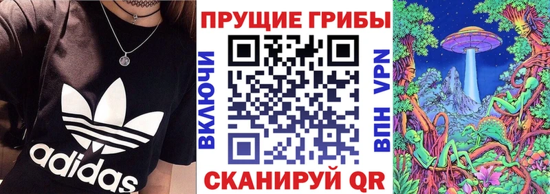 МЕГА ССЫЛКА  Гусиноозёрск  Галлюциногенные грибы GOLDEN TEACHER 